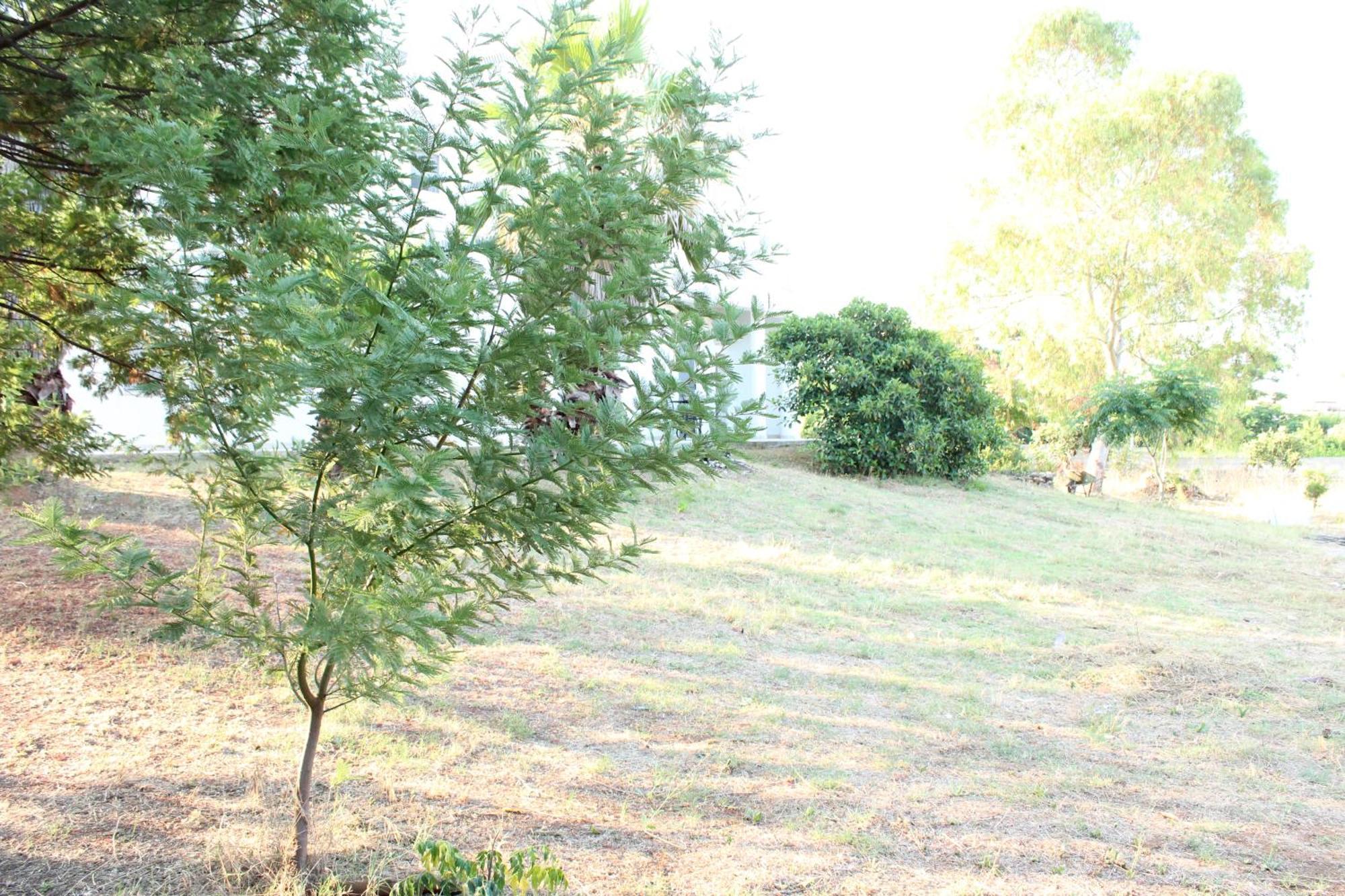 Boat Dreams , Garden Relax Apartment Matino Exterior photo