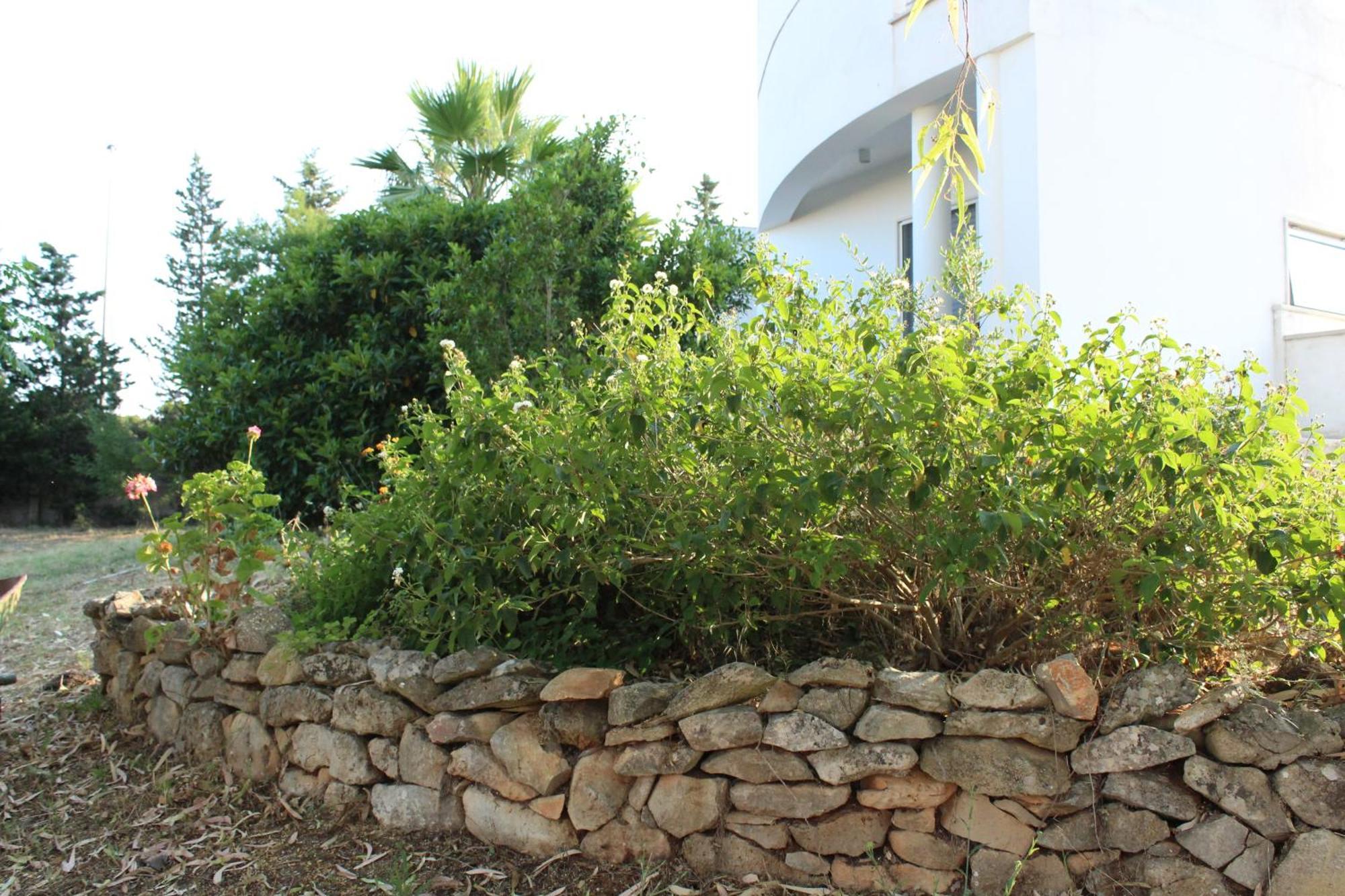 Boat Dreams , Garden Relax Apartment Matino Exterior photo